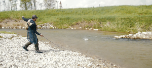 Mano sinistra a dare tensione alla coda e canna piegata
