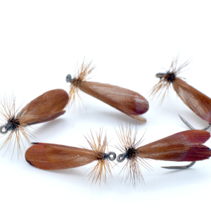 SLOVENIAN SDGE BROWN