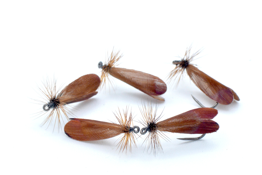 Immagine prodotto: LA KERKA SEDGE BROWN