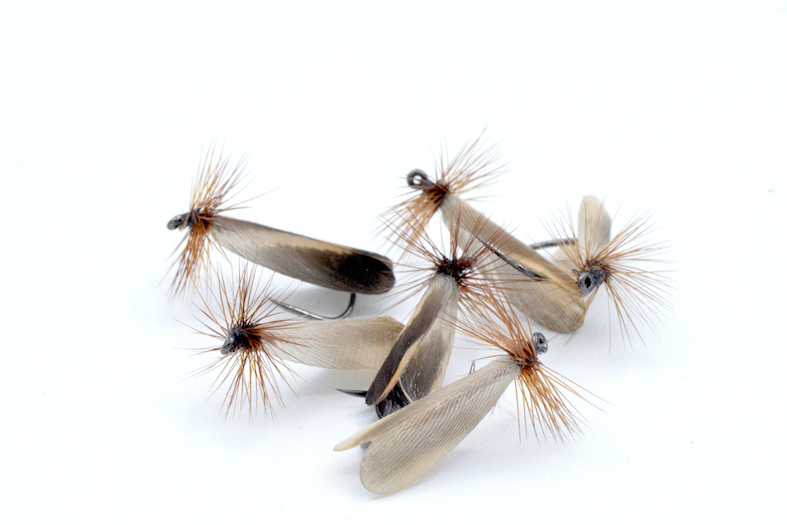 Immagine prodotto: LA KRKA SEDGE TAN