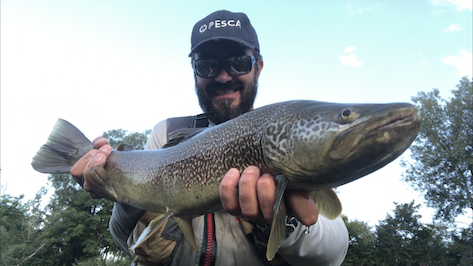 UNA TROTA MARMORATA DA SOGNO