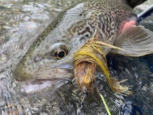 Un amo perfettamente piantato.