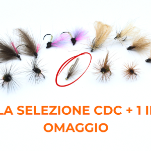 LA SELEZIONE CDC + 1 IN OMAGGIO