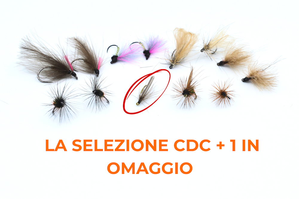 Immagine prodotto: SELEZIONE CDC