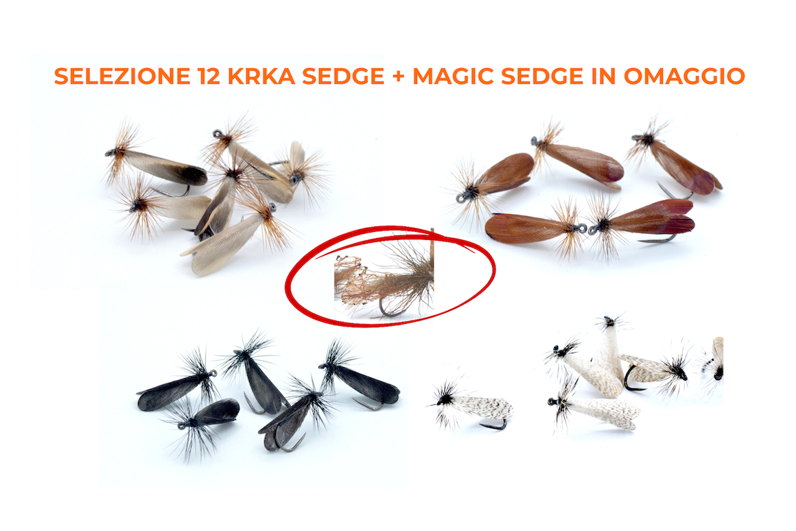 SELEZIONE KRKA SEDGE