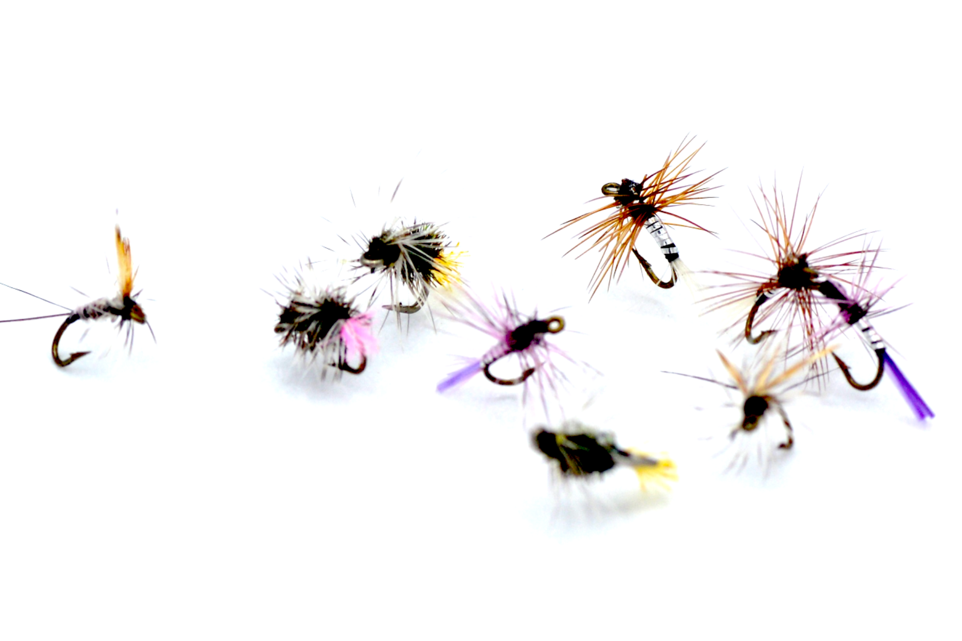 SELEZIONE TEMOLO – LE IMPOSSIBILI