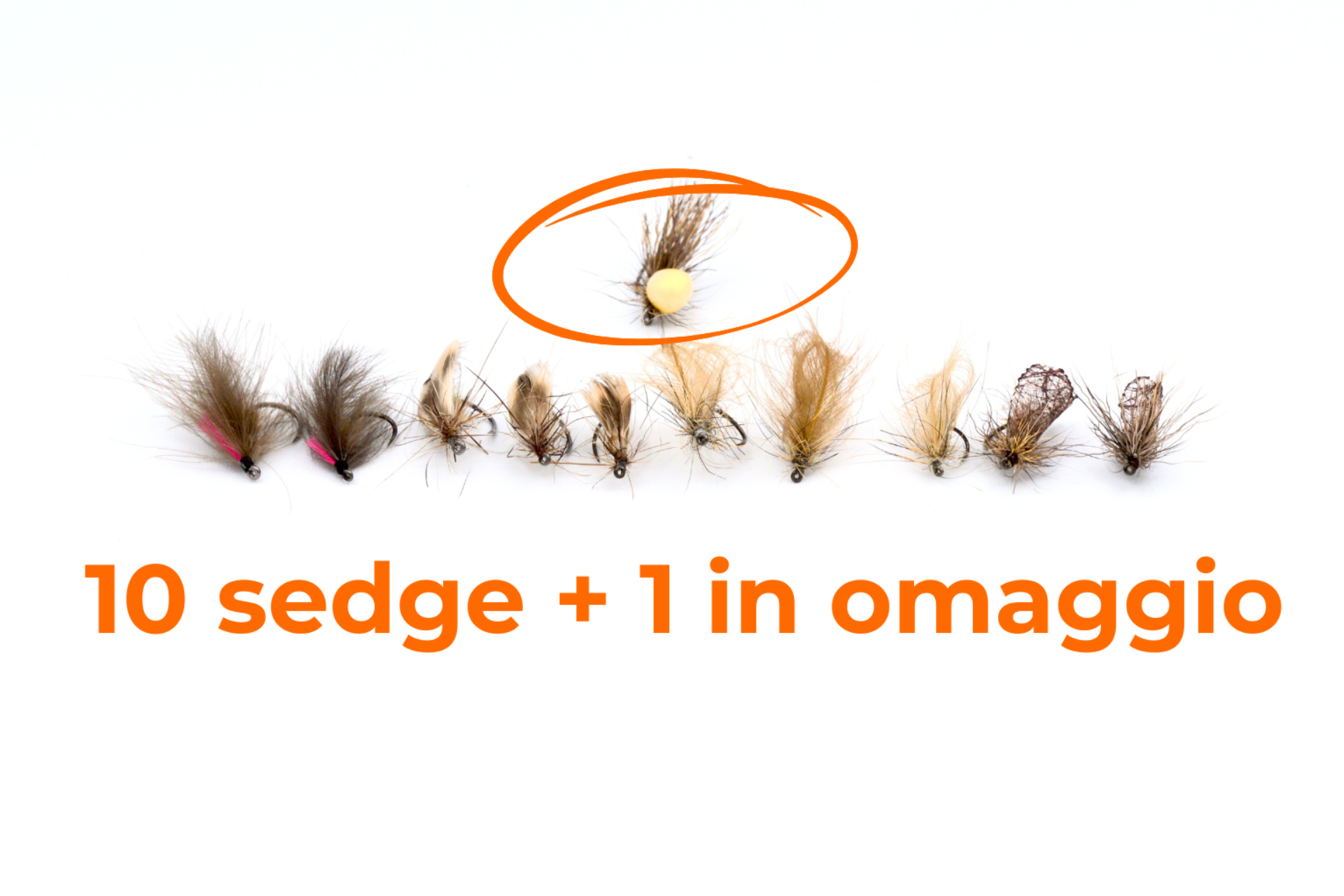SELEZIONE SEDGE  –  NATURAL