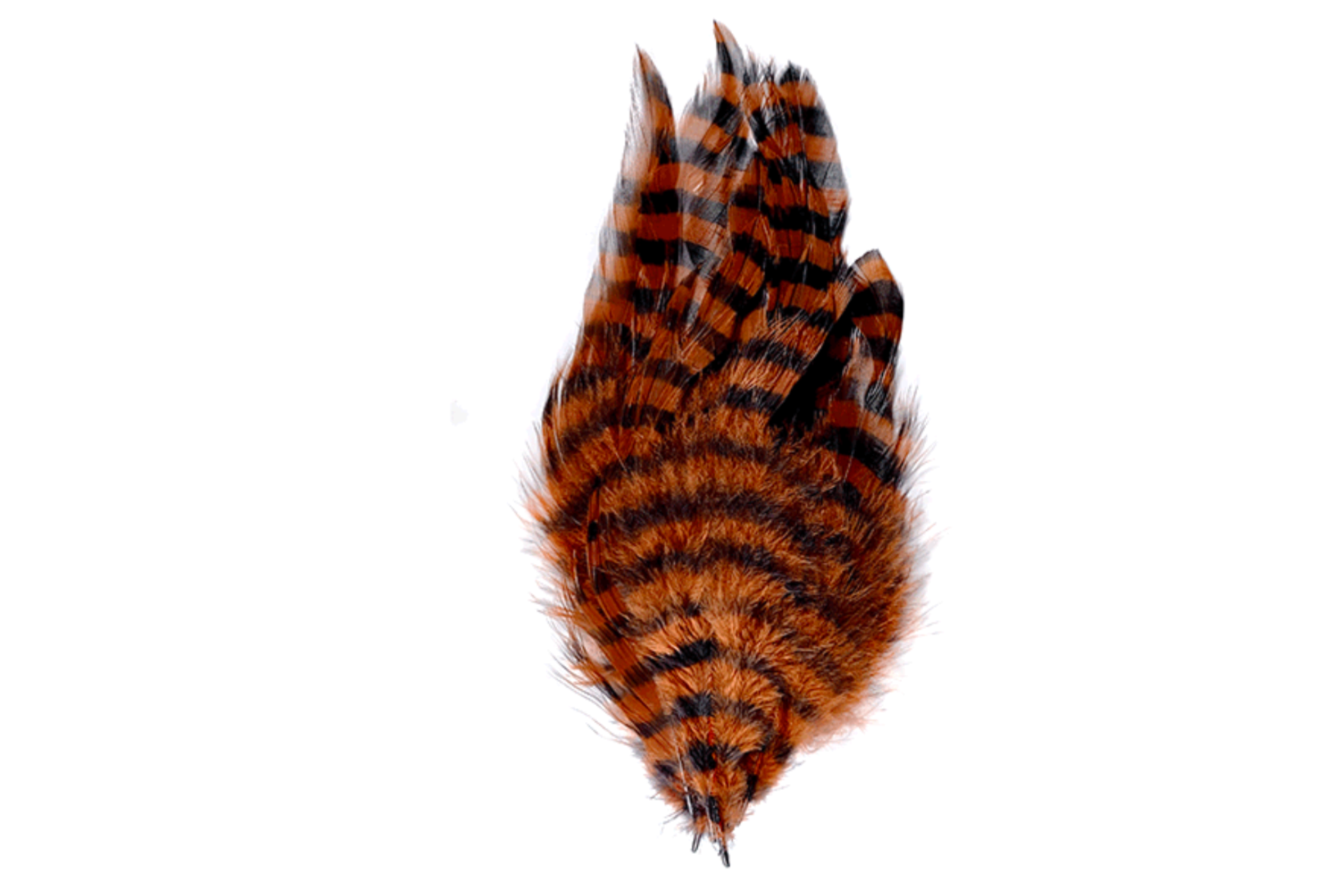 Barred schlappen burnt orange piume per la pesca a streamer