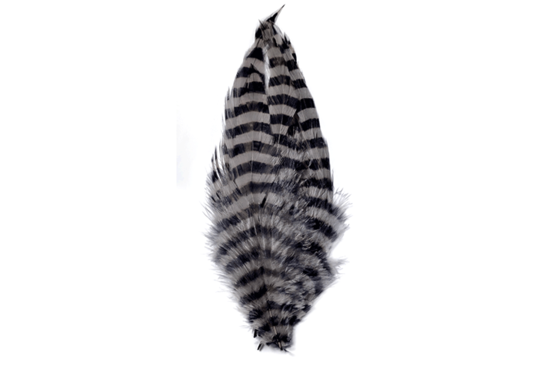 Barred schlappen gray piume per la pesca a streamer