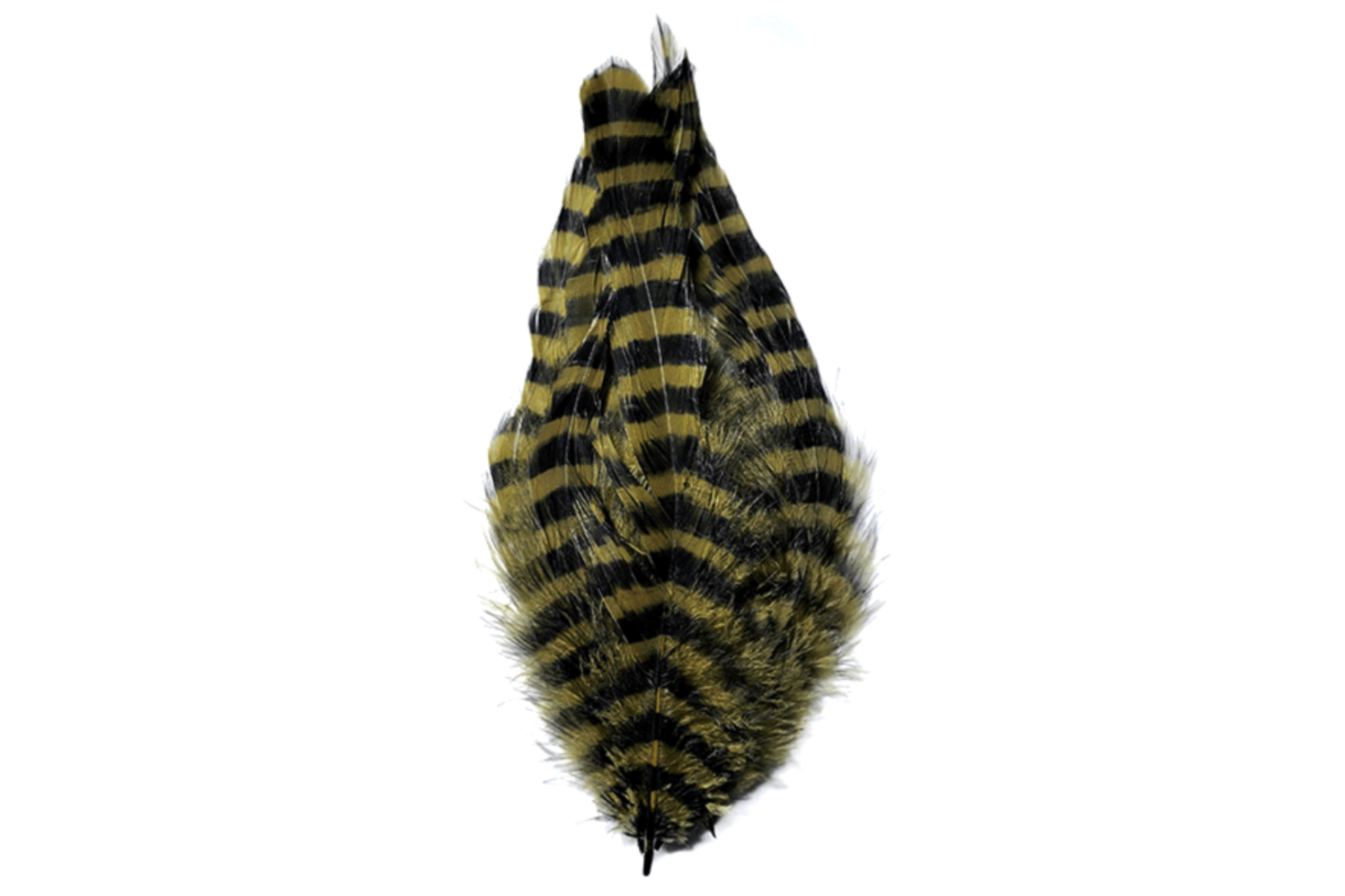 Barred schlappen olive piume per la pesca a streamer