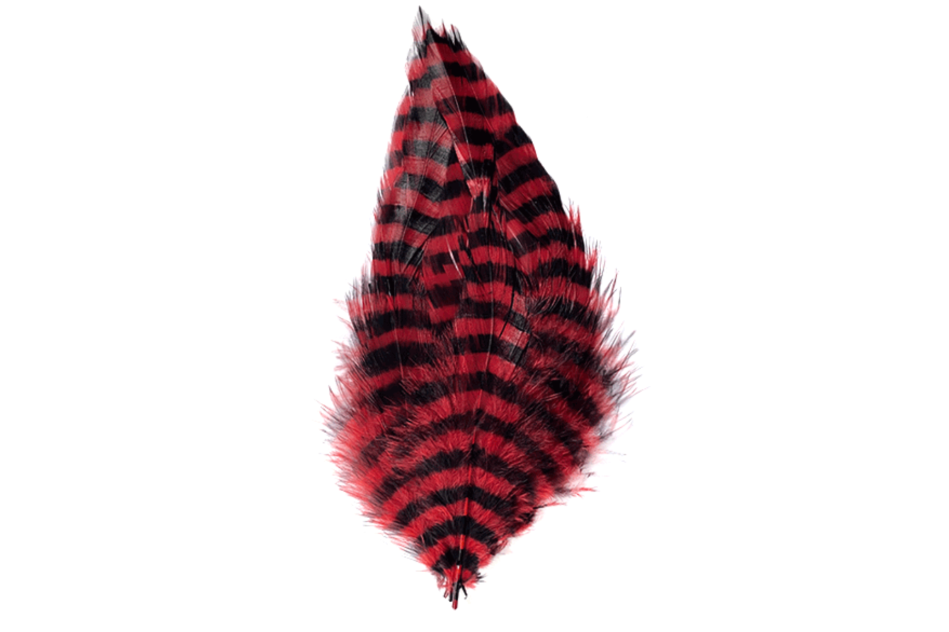 Barred schlappen red piume per la pesca a streamer