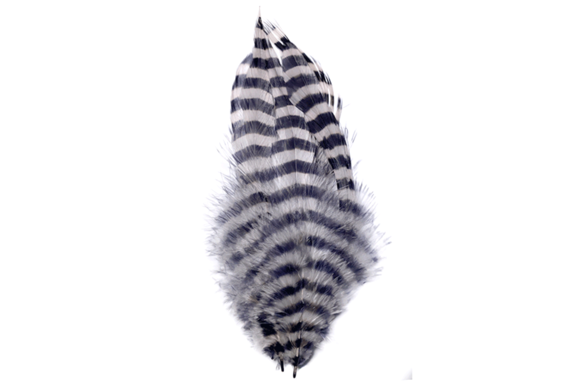 Barred schlappen white piume per la pesca a streamer