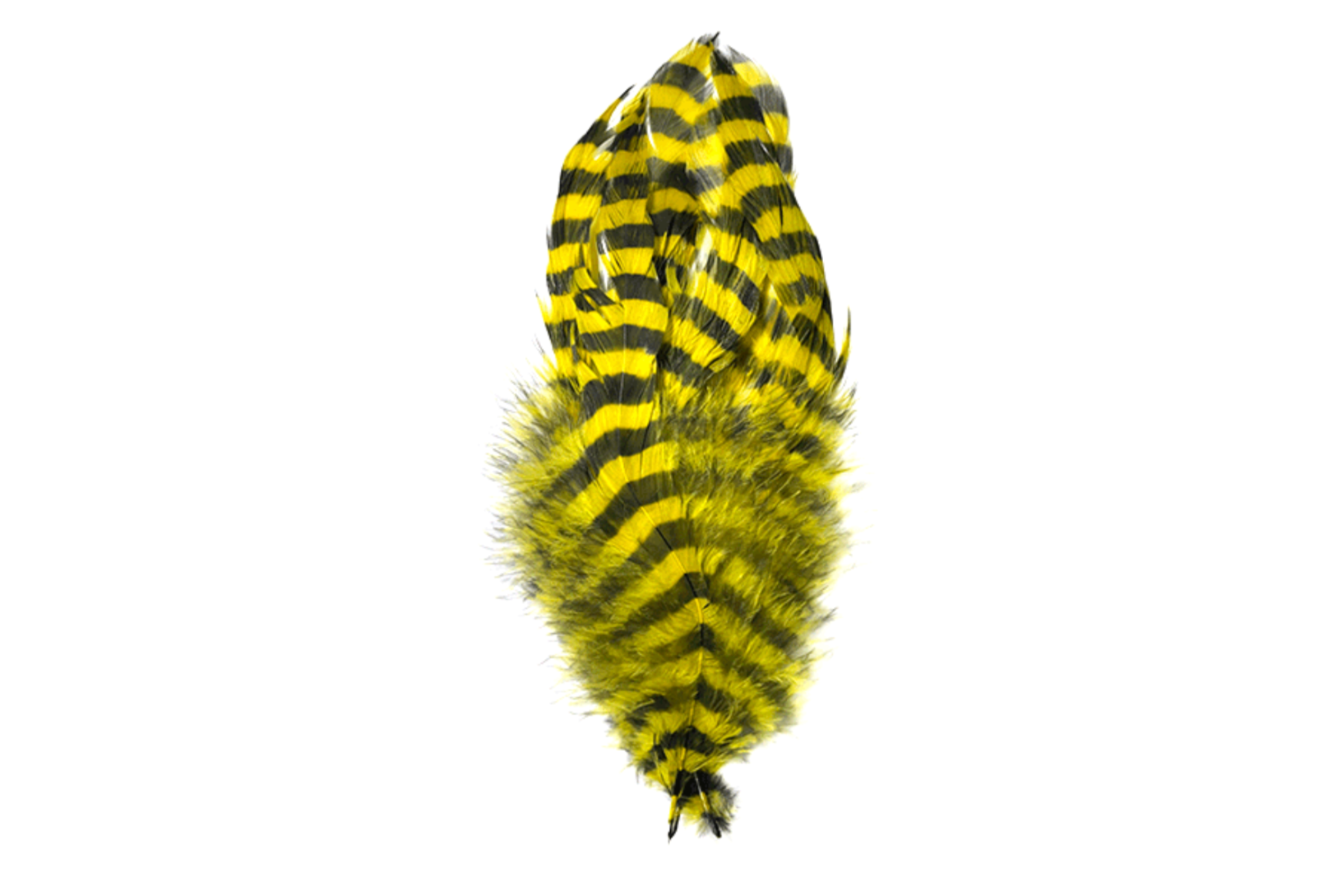 Barred schlappen yellow piume per la pesca a streamer