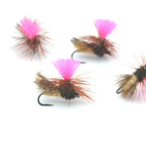 LA PARACHUTE SEDGE