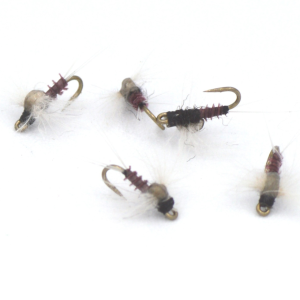 LA SPENTINA MOSCA SECCA