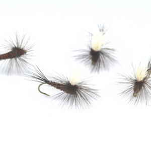 Pheasant tail parachute mosca secca