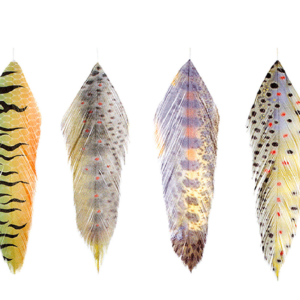 galloup fish feather piume stampate pesca a streamer