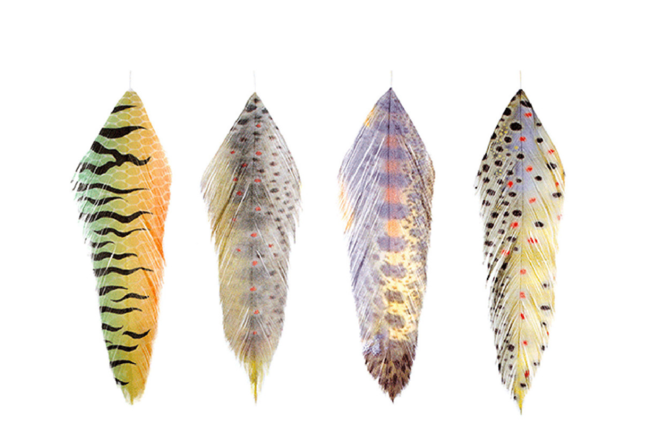 MFC GALLOUP FISH FEATHERS