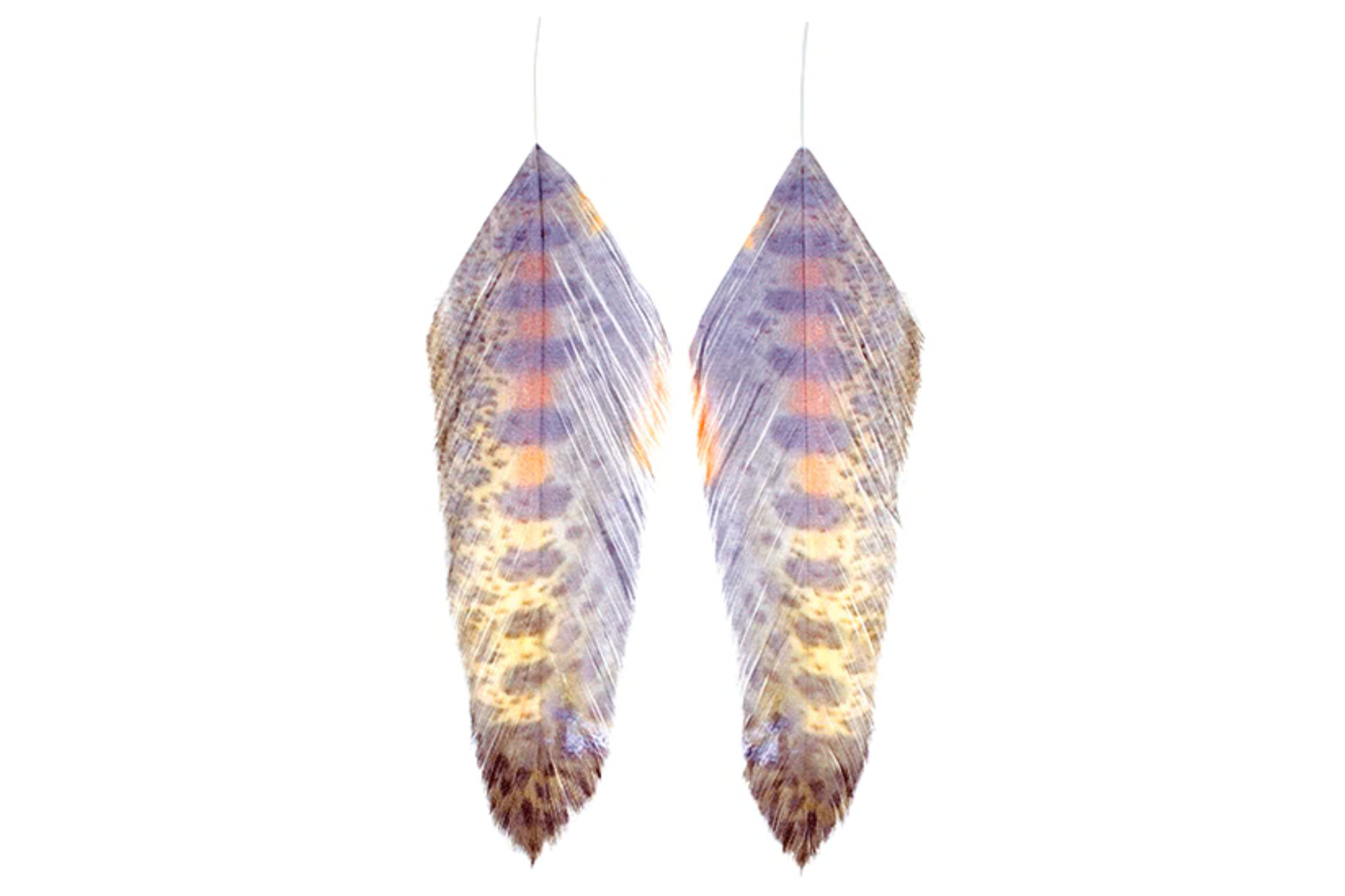 galloup fish feather piume stampate pesca a streamer juvy rainbow