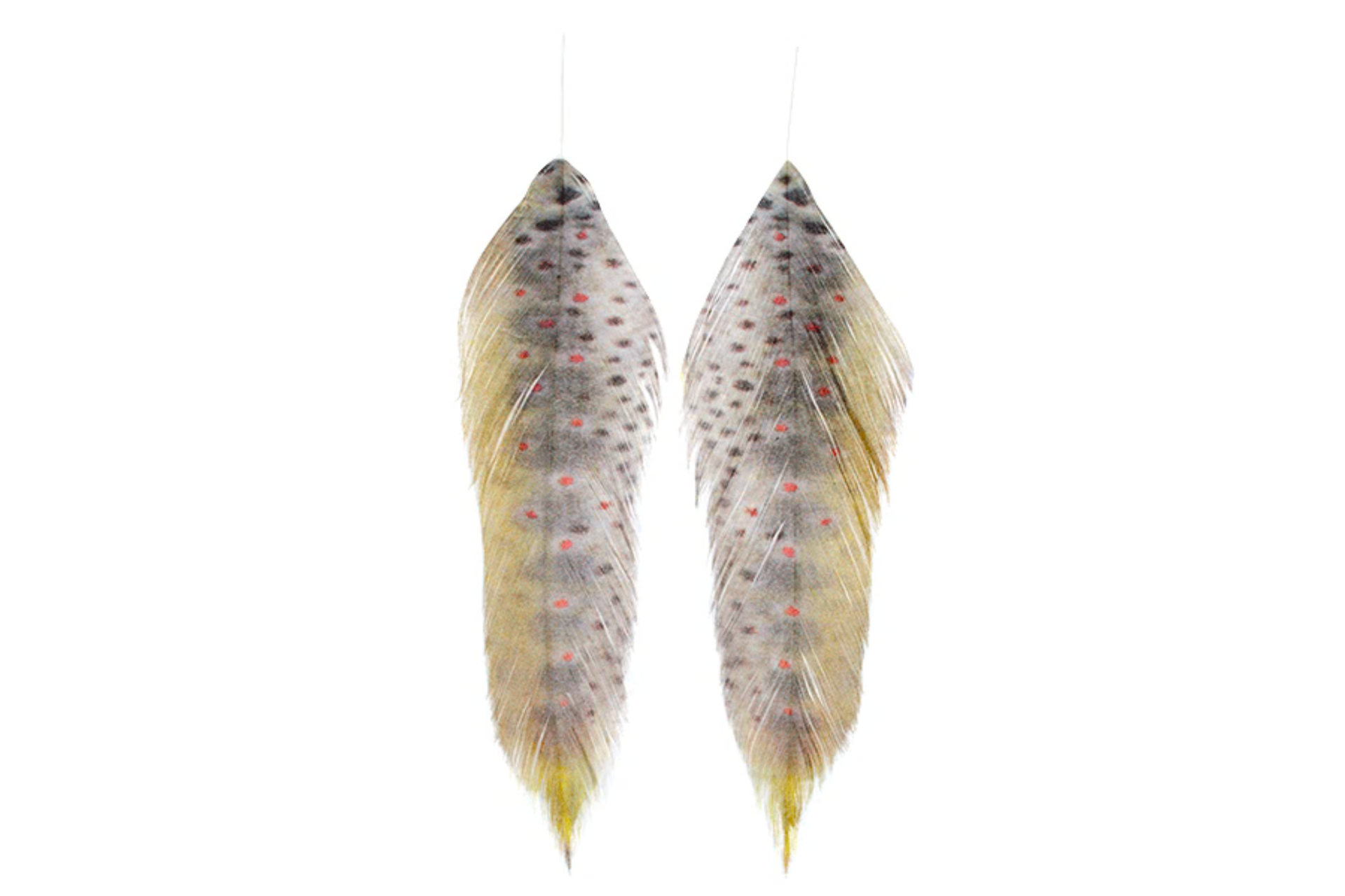 galloup fish feather piume stampate pesca a streamer mossy brown