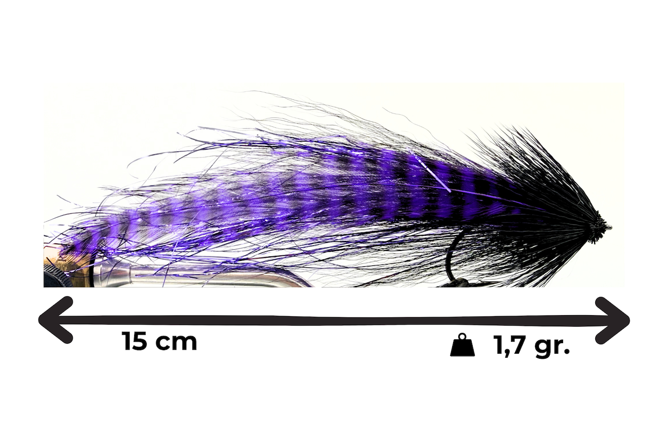 LA NERA E VIOLA