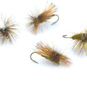 DANCIN SEDGE MOSCA SECCA