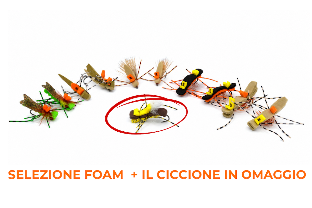 SELEZIONE FOAM