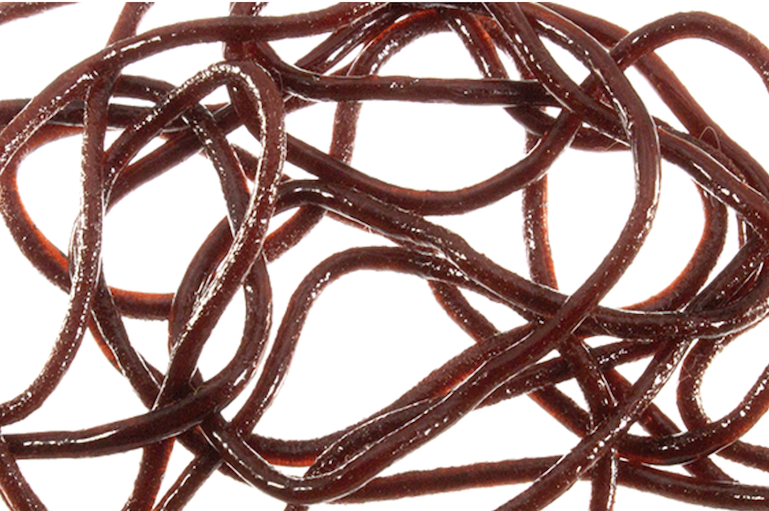 TRINA'S SQUIRM BROWN