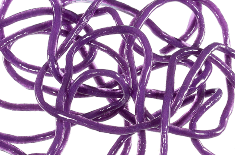 TRINA'S SQUIRM PURPLE