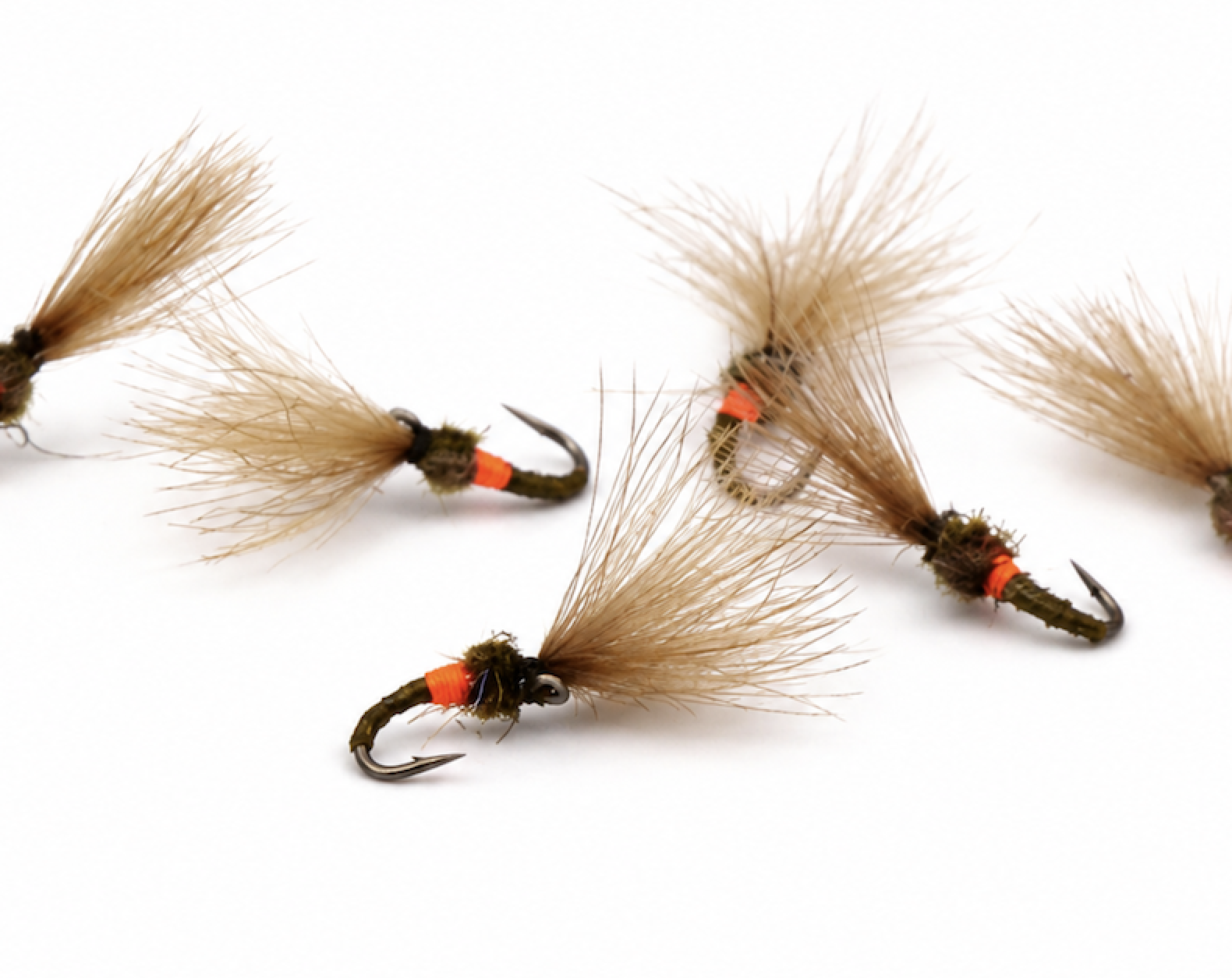 CHIRONOMO CDC #20
