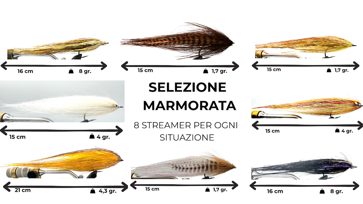 SELEZIONE TROTA MARMORATA