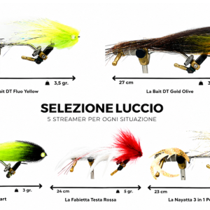 SELEZIONE LUCCIO 5 STREAMER