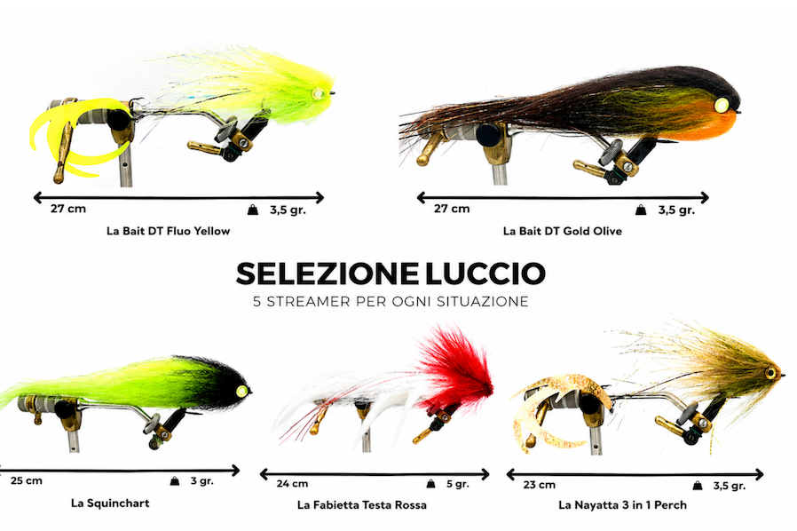 SELEZIONE LUCCIO