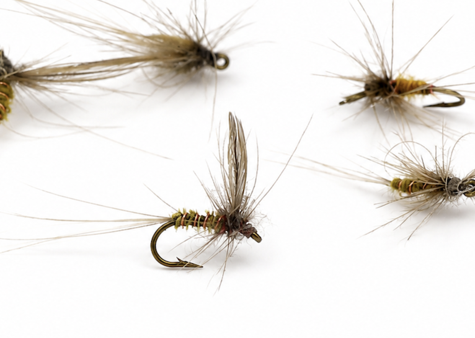 BWO #22