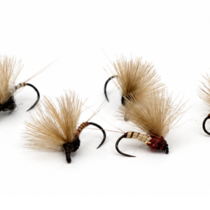 quill cdc 20 ok