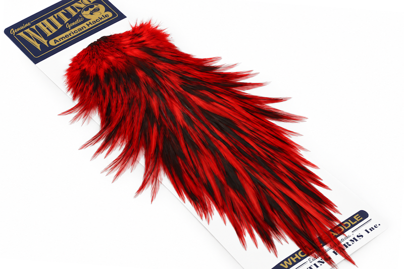 Immagine prodotto: WHITING AMERICAN ROOSTER SADDLE BLW DYED RED
