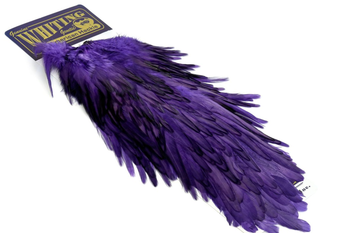 WHITING AMERICAN ROOSTER SADDLE PURPLE