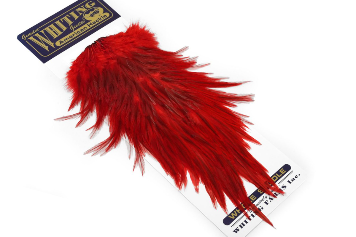 WHITING AMERICAN ROOSTER SADDLE RED